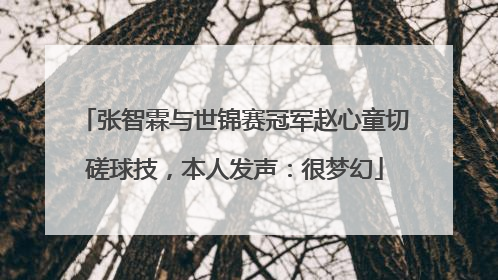 张智霖与世锦赛冠军赵心童切磋球技，本人发声：很梦幻