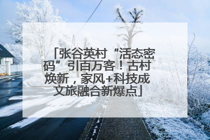 张谷英村“活态密码”引百万客！古村焕新，家风+科技成文旅融合新爆点