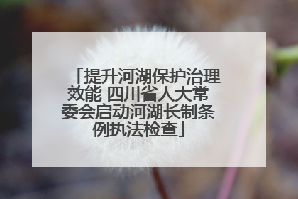 提升河湖保护治理效能 四川省人大常委会启动河湖长制条例执法检查