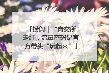 捞舆｜“青交所”走红，流量密码是官方带头“玩起来”