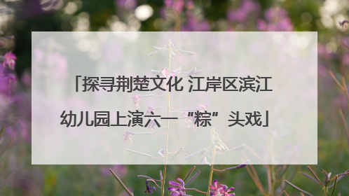 探寻荆楚文化 江岸区滨江幼儿园上演六一“粽”头戏