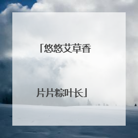 悠悠艾草香 片片粽叶长