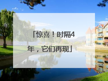 惊喜！时隔4年，它们再现