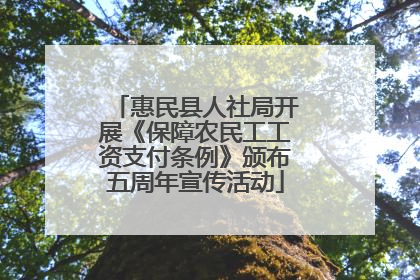 惠民县人社局开展《保障农民工工资支付条例》颁布五周年宣传活动