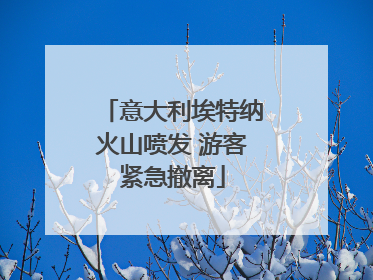 意大利埃特纳火山喷发 游客紧急撤离