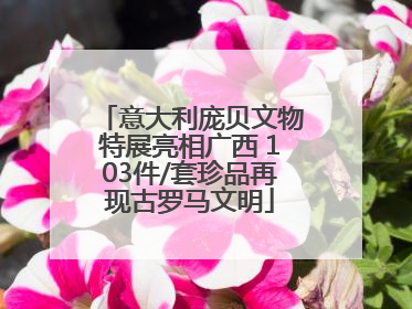 意大利庞贝文物特展亮相广西 103件/套珍品再现古罗马文明