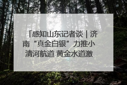 感知山东记者谈｜济南“真金白银”力推小清河航道 黄金水道激活区域经济新动能