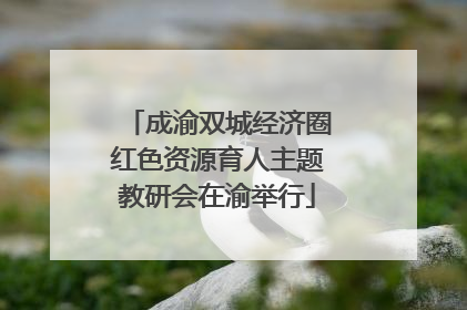 成渝双城经济圈红色资源育人主题教研会在渝举行