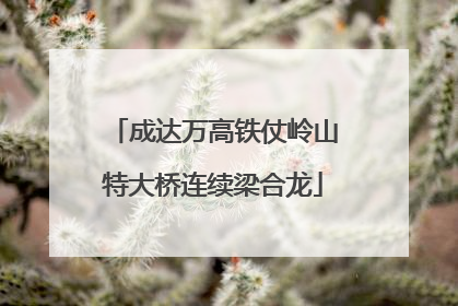成达万高铁仗岭山特大桥连续梁合龙