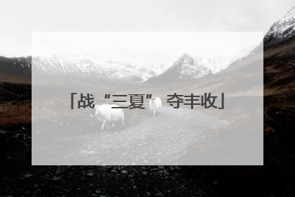 战“三夏” 夺丰收