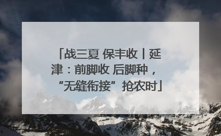 战三夏 保丰收丨延津:前脚收 后脚种,“无缝衔接”抢农时
