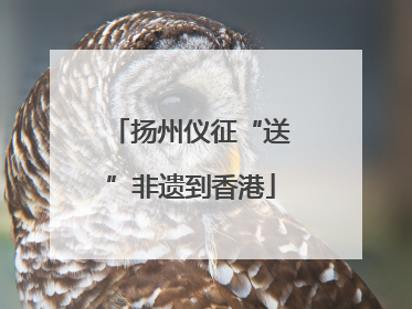 扬州仪征“送”非遗到香港