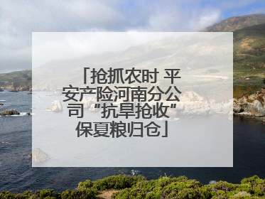 抢抓农时 平安产险河南分公司“抗旱抢收”保夏粮归仓