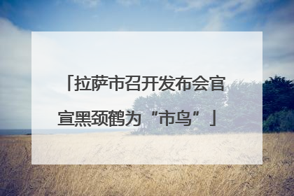 拉萨市召开发布会官宣黑颈鹤为“市鸟”