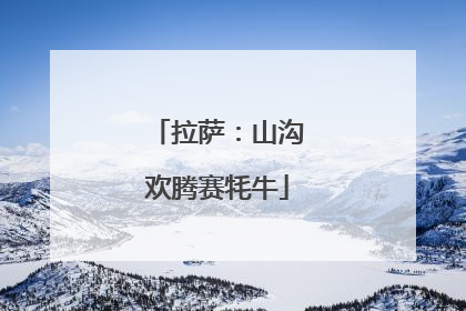 拉萨：山沟欢腾赛牦牛