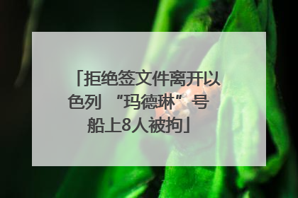 拒绝签文件离开以色列 “玛德琳”号船上8人被拘