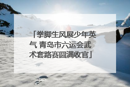 拳脚生风展少年英气 青岛市六运会武术套路赛圆满收官