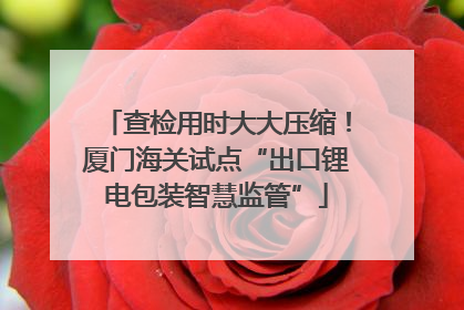 查检用时大大压缩！厦门海关试点“出口锂电包装智慧监管”