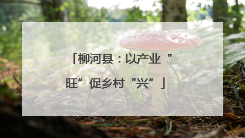 柳河县：以产业“旺”促乡村“兴”