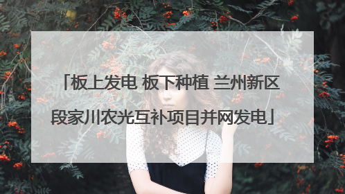 板上发电 板下种植 兰州新区段家川农光互补项目并网发电