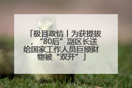 极目政情丨为获提拔，“80后”副区长送给国家工作人员巨额财物被“双开”