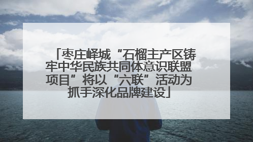 枣庄峄城“石榴主产区铸牢中华民族共同体意识联盟项目”将以“六联”活动为抓手深化品牌建设