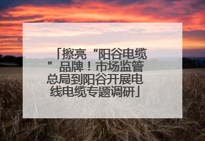 擦亮“阳谷电缆”品牌！市场监管总局到阳谷开展电线电缆专题调研