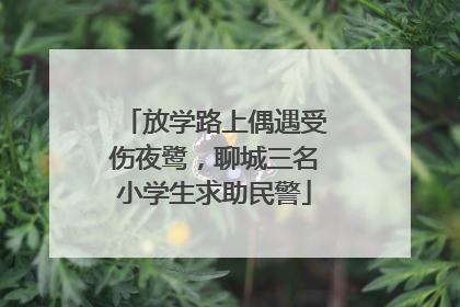 放学路上偶遇受伤夜鹭，聊城三名小学生求助民警
