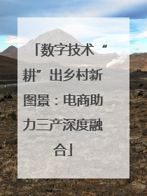数字技术“耕”出乡村新图景：电商助力三产深度融合
