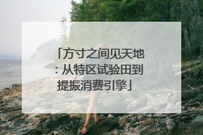 方寸之间见天地：从特区试验田到提振消费引擎