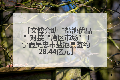 文博会助“盐池优品”对接“湾区市场”！宁夏吴忠市盐池县签约28.44亿元