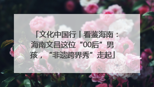 文化中国行丨看鉴海南：海南文昌这位“00后”男孩，“非遗跨界秀”走起