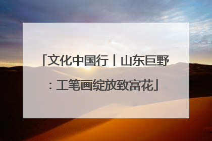 文化中国行丨山东巨野：工笔画绽放致富花