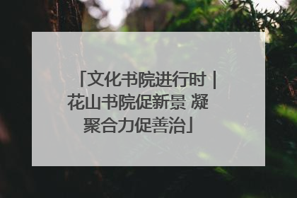 文化书院进行时｜花山书院促新景 凝聚合力促善治