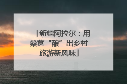 新疆阿拉尔：用桑葚“酿”出乡村旅游新风味