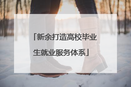 新余打造高校毕业生就业服务体系