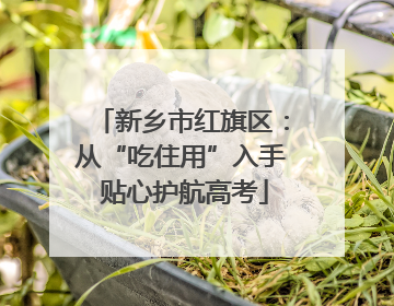 新乡市红旗区：从“吃住用”入手 贴心护航高考