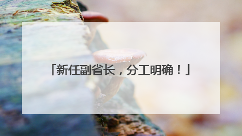 新任副省长，分工明确！