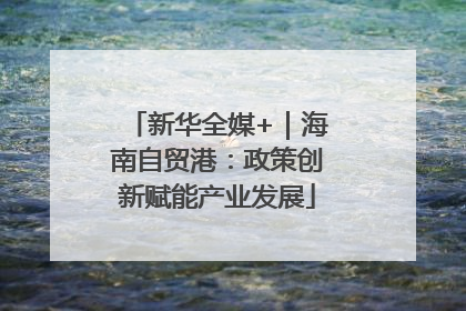 新华全媒+｜海南自贸港：政策创新赋能产业发展