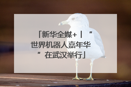 新华全媒+丨“世界机器人嘉年华”在武汉举行