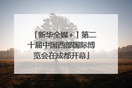 新华全媒+丨第二十届中国西部国际博览会在成都开幕