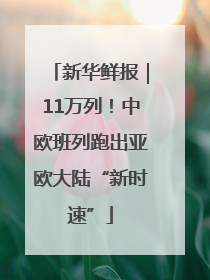 新华鲜报｜11万列！中欧班列跑出亚欧大陆“新时速”