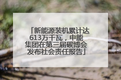 新能源装机累计达613万千瓦，申能集团在第三届碳博会发布社会责任报告