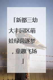 新都三幼大丰园区萌娃绿茵逐梦，童趣飞扬