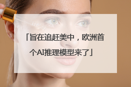 旨在追赶美中，欧洲首个AI推理模型来了