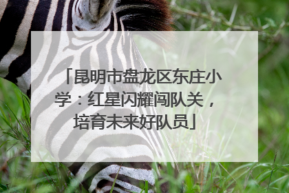 昆明市盘龙区东庄小学：红星闪耀闯队关，培育未来好队员