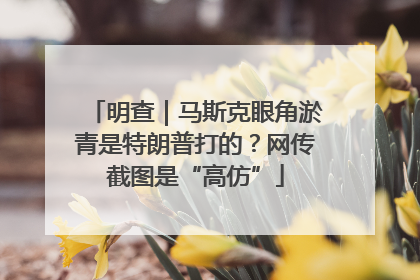 明查｜马斯克眼角淤青是特朗普打的？网传截图是“高仿”