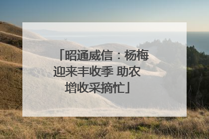 昭通威信：杨梅迎来丰收季 助农增收采摘忙