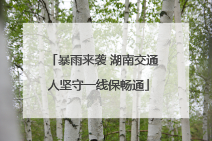 暴雨来袭 湖南交通人坚守一线保畅通