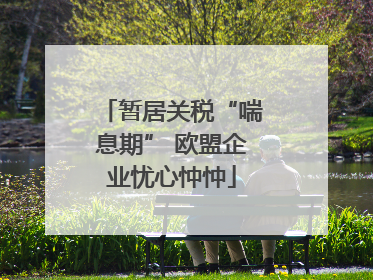 暂居关税“喘息期” 欧盟企业忧心忡忡